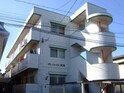 グレイシャス長尾