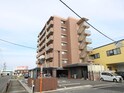 ベルフラワー大野城