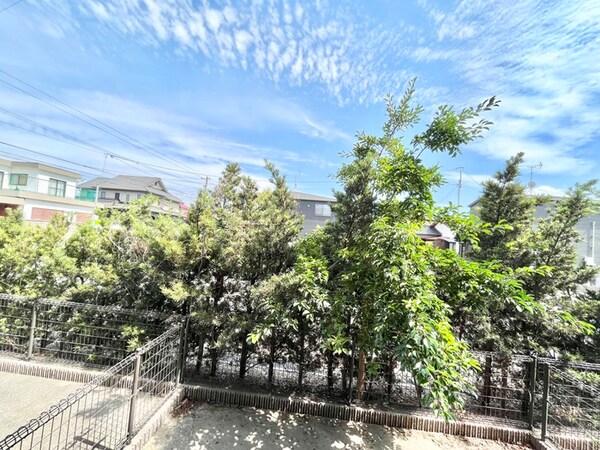室内からの展望