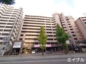 キャメロットパークビュー