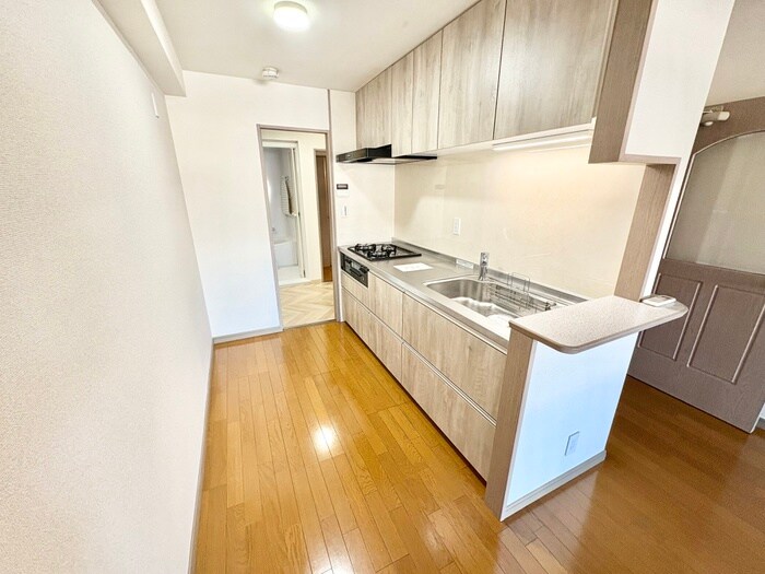 物件内観写真10　(キッチン)