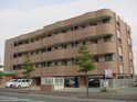 グリーンマンション