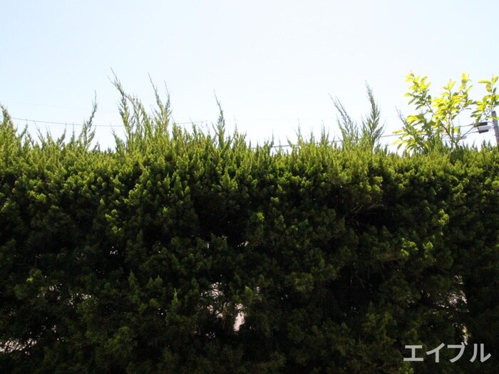 物件内観写真15　(内観写真)