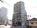 ﾊﾟﾝﾙﾈｯｸｽｸﾘｽﾀﾙ大濠Ⅲ(403)