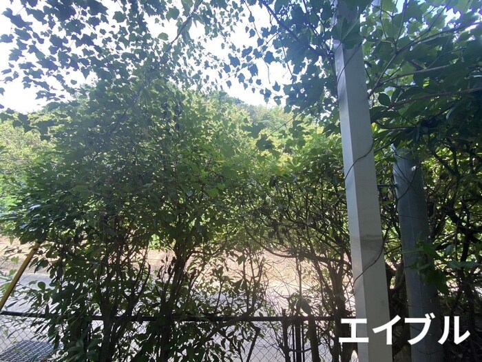 物件内観写真18　(室内からの展望)