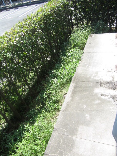 物件内観写真12　(ベランダ・バルコニー)