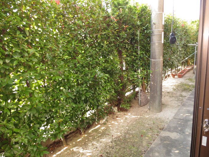 物件内観写真12　(ベランダ・バルコニー)