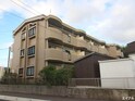 イリス花がすみ