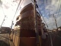 ルピエ西新