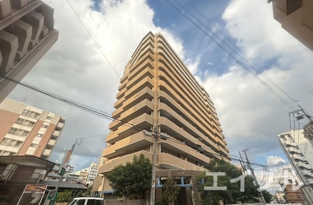 ダイアパレス高麗本通り(1206)外観写真