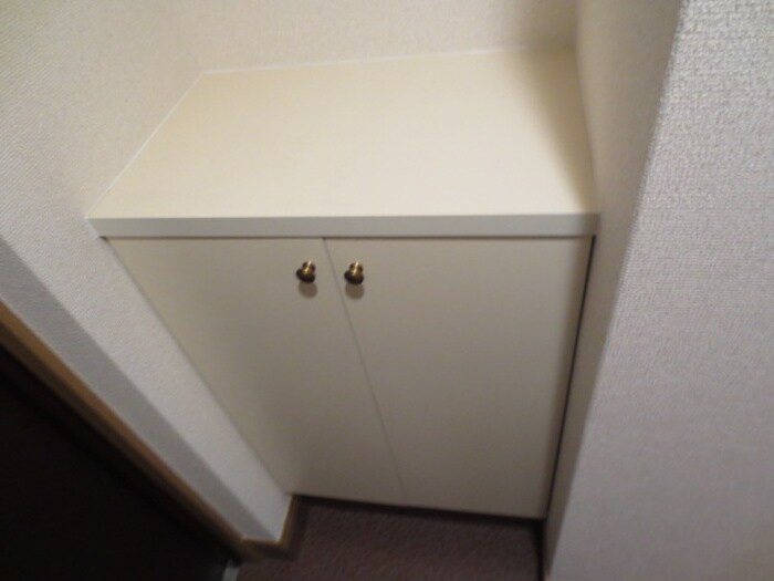 物件内観写真15　(靴箱)