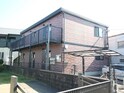 アムール柚の木