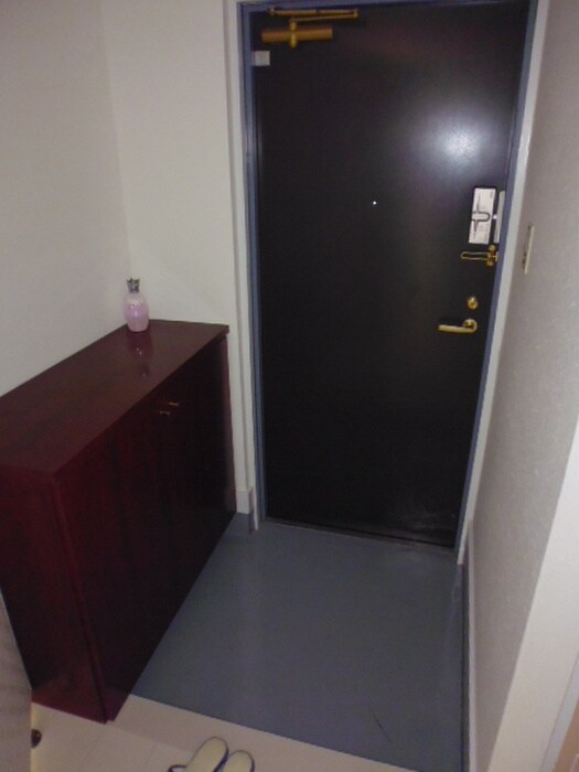 物件内観写真13　(玄関)