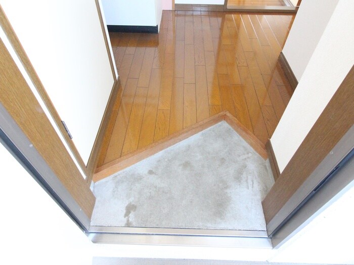 物件内観写真9　(玄関)