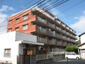 ｴﾒﾗﾙﾄﾞﾏﾝｼｮﾝﾘﾊﾞｰｻｲﾄﾞ貝塚（406）