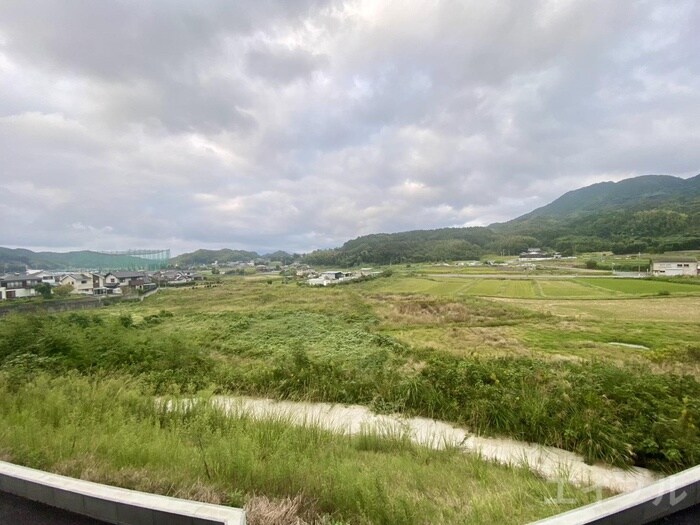 物件内観写真21　(靴箱)