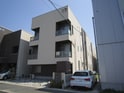 ＭＡＩＳＯＮＥＴＩＣ　ＣＩＥＬ