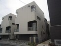 ＭＡＩＳＯＮＥＴＩＣﾄﾞﾘｰﾑﾊｲﾂ