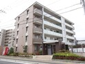 ウインズ乙金