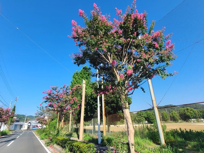 物件外観写真6　(周辺環境)