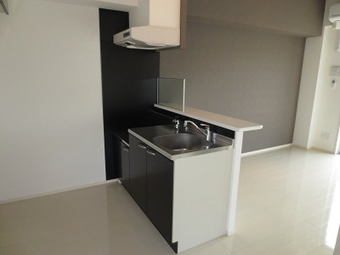 物件内観写真6　(キッチン)