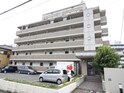 フロント リブ