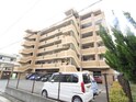 クローバーフォー