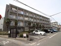 Ｏ．Ｃ．ＡＰＡＲＴＡＭＥＮＴＯ