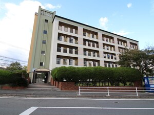 岡田グリーンハイツ外観写真