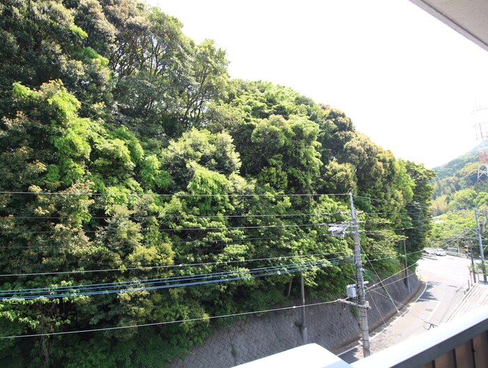 物件内観写真17　(室内からの展望)