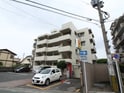 フォルトハイム12