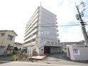 サンフラワー津福