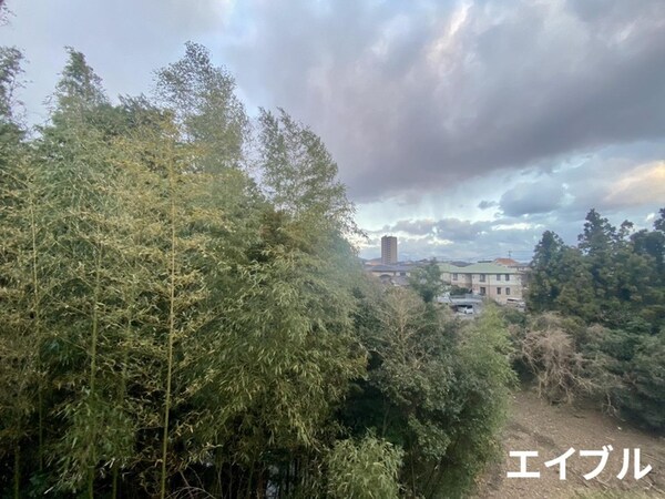 室内からの展望