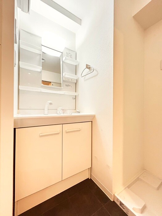 物件内観写真9　(洗面)