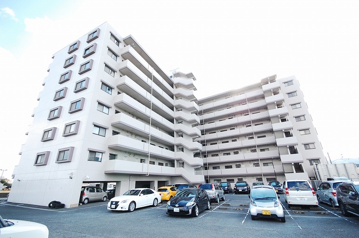 曽根ｽｶｲﾏﾝｼｮﾝⅡ番館　　203