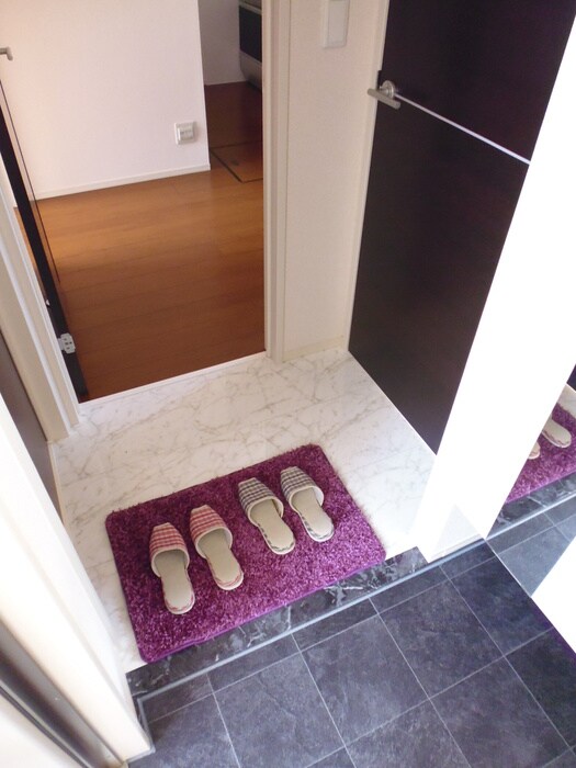 物件内観写真10　(玄関)