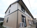 ハイカムール原