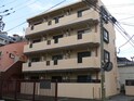 Ｙ´s　court