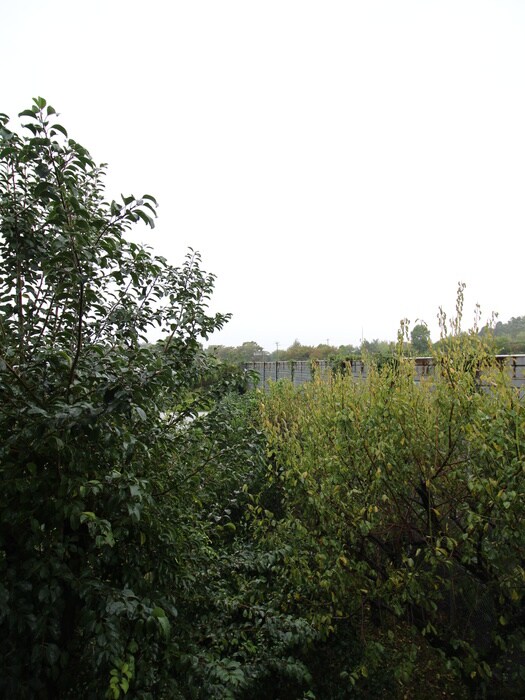 物件内観写真12　(室内からの展望)