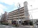 フローレス長尾