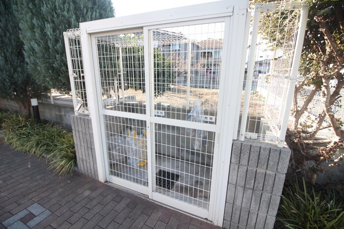 シャルマン土井のその他