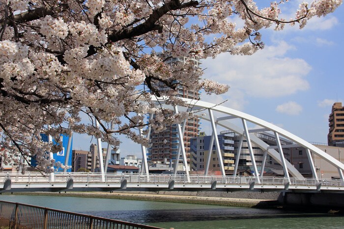 物件外観写真2　(周辺環境)