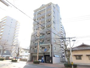 ﾊﾟﾝﾙﾈｯｸｽ･ｸﾘｽﾀﾙ大濠Ⅲ(205)外観写真