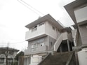 シャーミー香椎１
