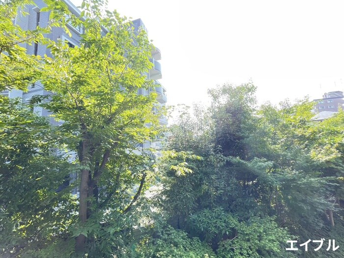 物件内観写真15　(室内からの展望)