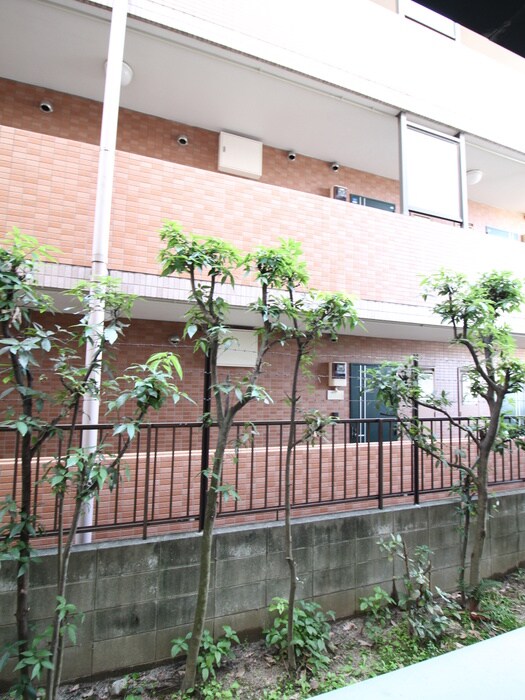 物件内観写真11　(室内からの展望)