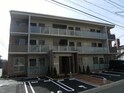 ヴィオラ