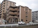 サンシャイン井上