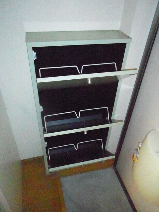 物件内観写真9　(玄関)