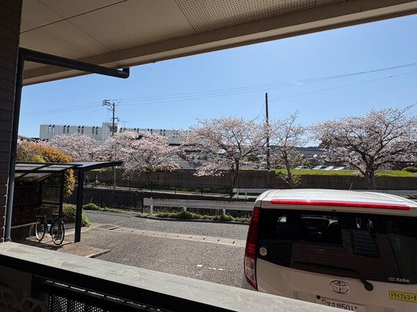 室内からの展望